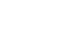Tigerlily logo
